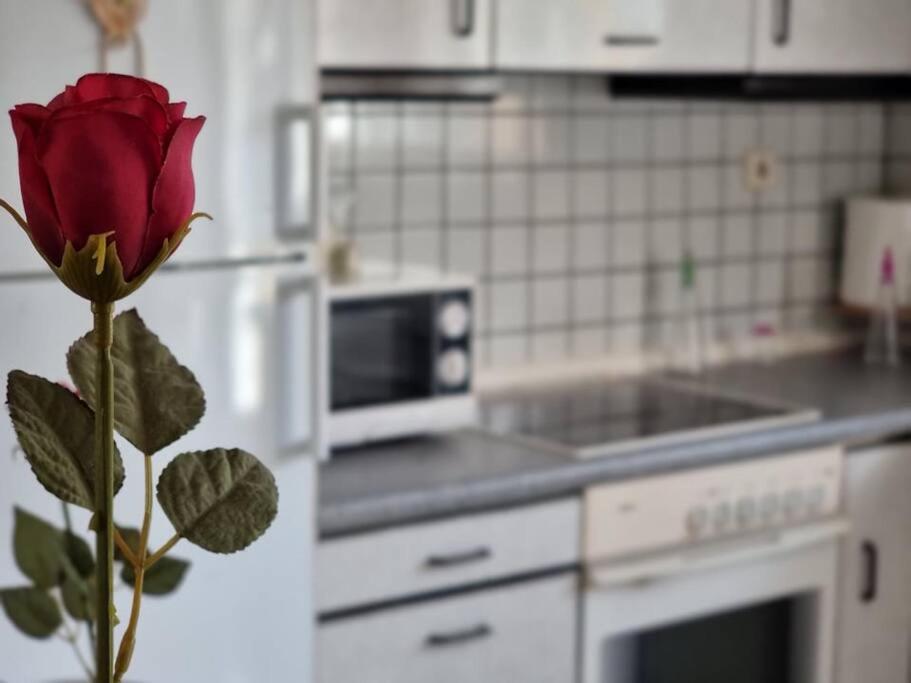 Appartement Flat , Near The Aiport