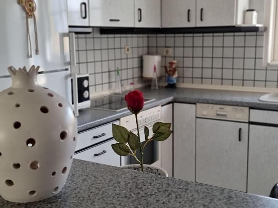 Apartment Flat , Near The Aiport